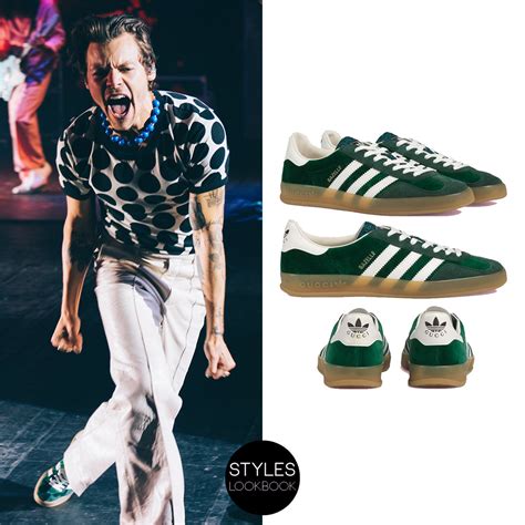 Harry Styles adidas Gucci